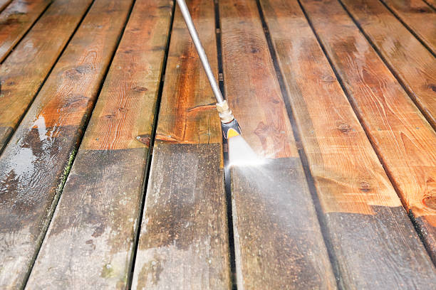 Best Solar Panel Cleaning  in Mount Pocono, PA